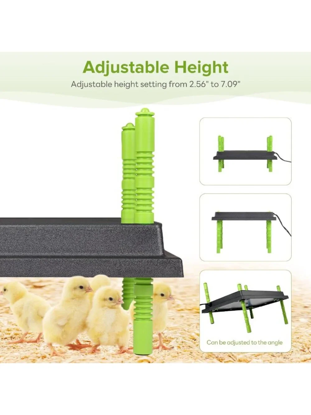 Chick Heating Plate 12x16” - Warm Up to 40 Chicks, Ideal for Brooding & Comfort
